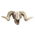 thumbnail image 3 of Retro Resin Crafts Sheep Head Skull Office Wall Hanging Decor, 3 of 8