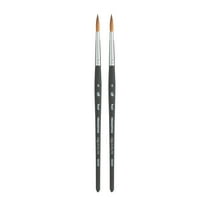 Princeton Aqua Elite Round Brush, Synthetic Bristles, Short Handle Watercolor Paintbrush, Matte Black, Size 6, Pack of 2