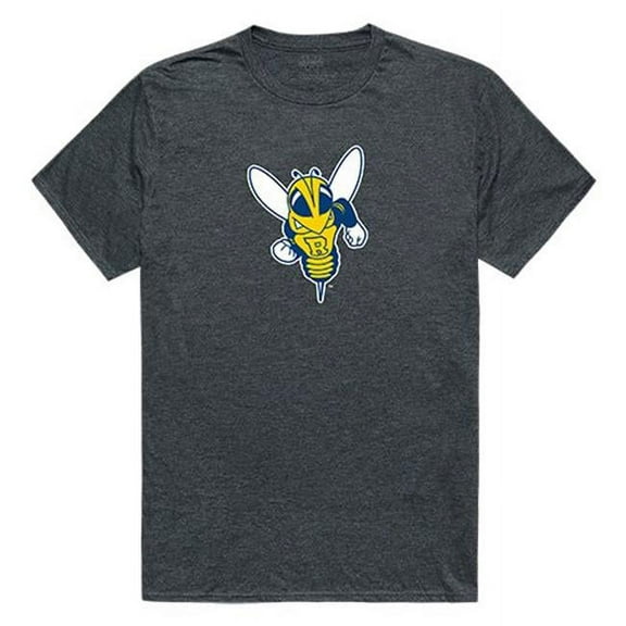 University of Rochester Cinder Tee for Men, Heather Charcoal - 2X