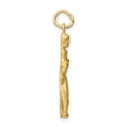 thumbnail image 2 of 10k Yellow Gold Solid Runner Charm, 2 of 5