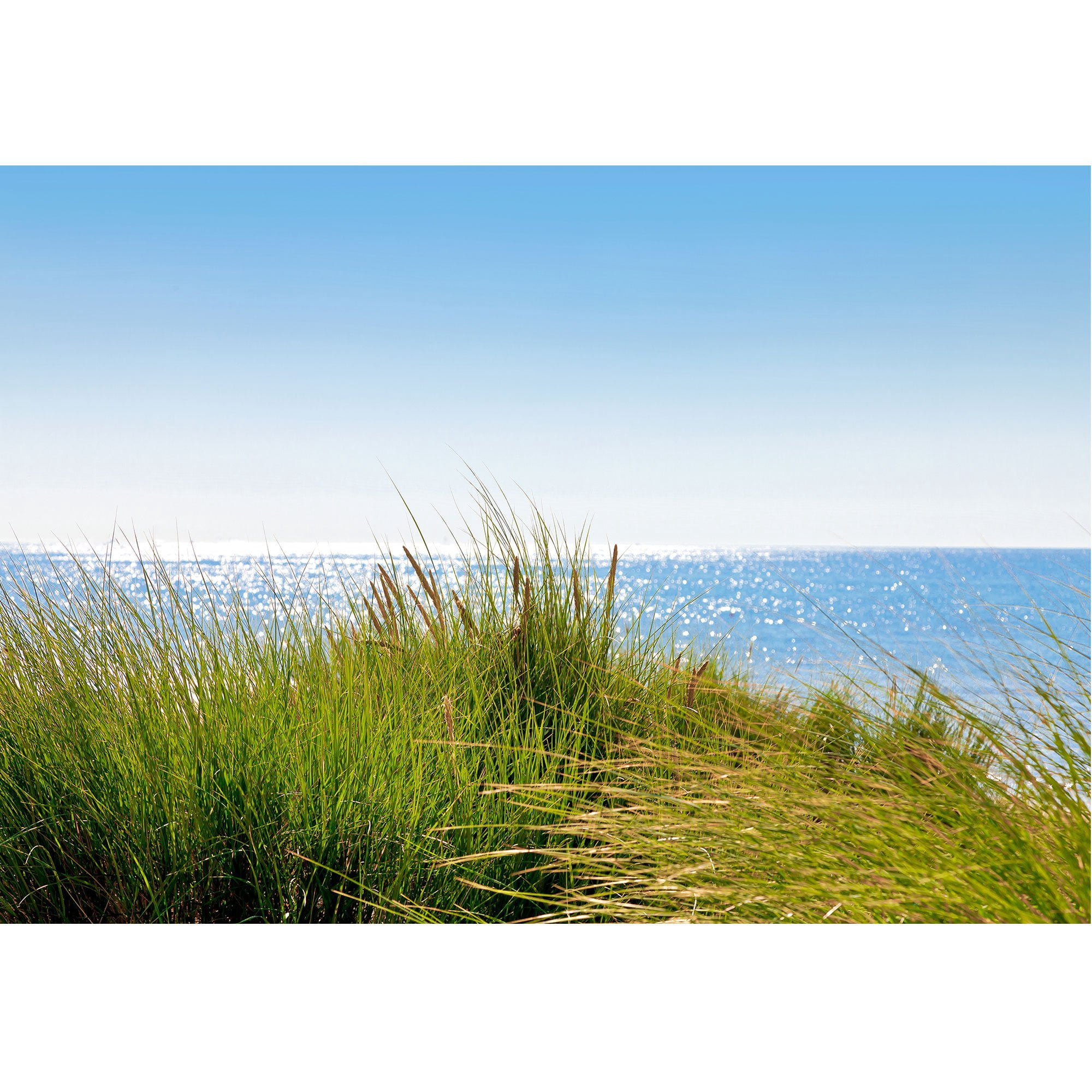 wall26 - Dunes to The Sea. Seascape. - Removable Wall Mural | Self-Adhesive Large Wallpaper - 100x144 inches