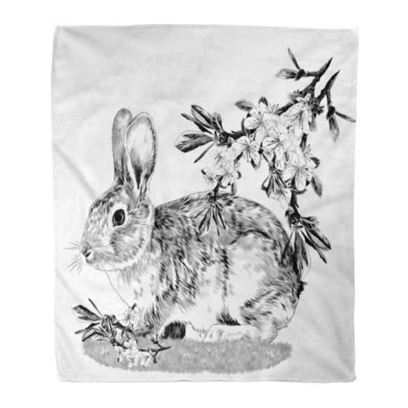 ASHLEIGH Throw Blanket Warm Cozy Print Flannel Bunny Sitting Grass Next to The Branches of Apple Tree Sketch Graphics Comfortable Soft for Bed Sofa and Couch 50x60 Inches