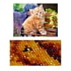 thumbnail image 4 of Cateissary Pintura de cristal 5D DIY, pintura de taladro completo, manualidades de punto de cruz , imágenes bordadas, decoración de pared para Artesanía, 4 of 6