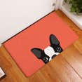 thumbnail image 2 of Non Slip Indoor/Outdoor Doormats Home Entrance Cute Dog Pattern Floor Rug Carpet Door Mat Bath Kitchen Mats, 2 of 3