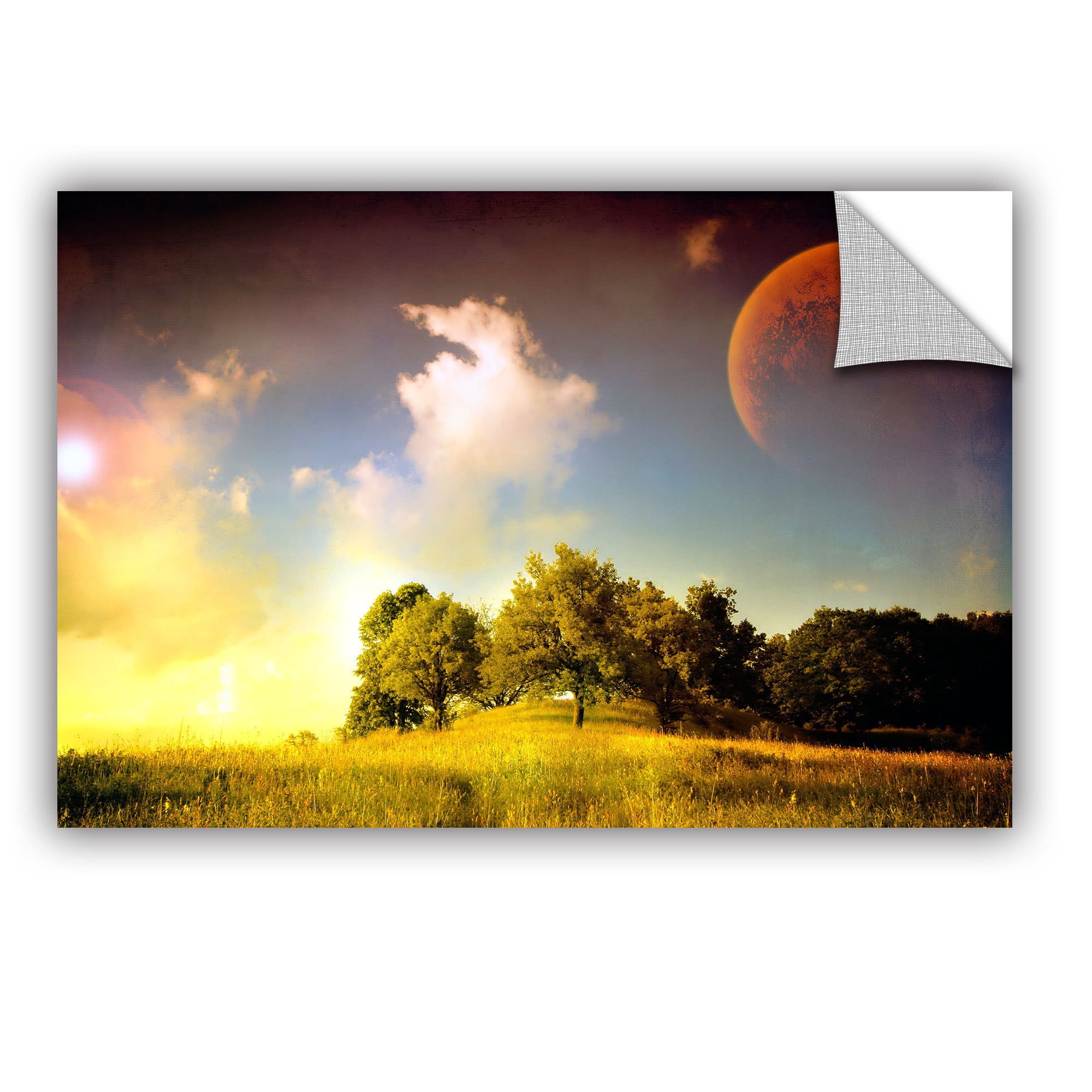 ArtWall Dragos Dumitrascu "Everlasting Season" ArtAppealz Removable Wall Art