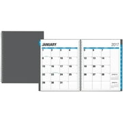 Blue Sky The Big Picture 8.5" x 11" Weekly/Monthly Planner, 2017