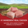 thumbnail image 2 of Purina ONE Chicken and Rice Formula Dry Dog Food - 31.1 lb. Bag (Pack of 10), 2 of 6