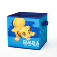 Lion King Whole Room Solution Storage Set (Trunk, 2 Pack Cubes, Pop Up