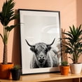 thumbnail image 3 of woolly cow - Photography Highland Cow Black and White Animal Portrait Farmhouse Rural Rustic Black Framed Wall Art Print 5 x 7 inches, 3 of 8