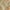 Light Blue/Light Brown, variant on SAFAVIEH Heritage Abbey Traditional Wool Area Rug, Beige, 2' x 3'