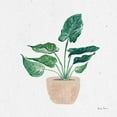 thumbnail image 2 of Zaman, Farida 12x12 White Modern Wood Framed Museum Art Print Titled - Home Garden III, 2 of 4