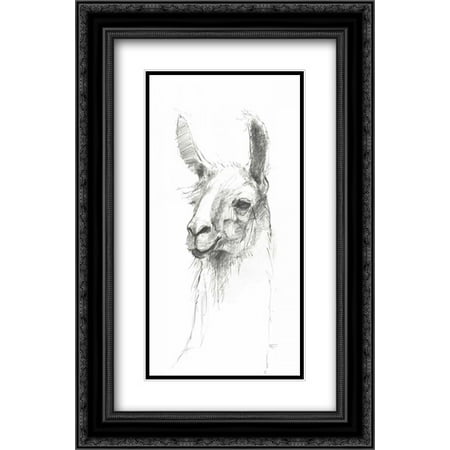 - Bianca Pencil 2x Matted 16x24 Black Ornate Framed Art Print by Tillmon, Avery