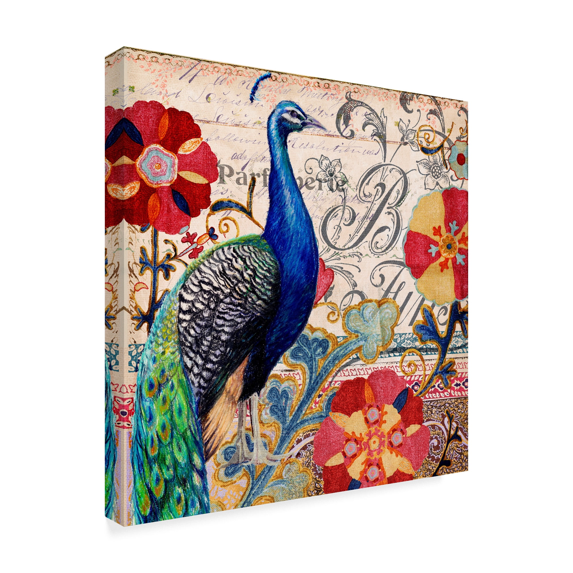 Trademark Fine Art 'Peacock Decor' Canvas Art by Art Licensing Studio