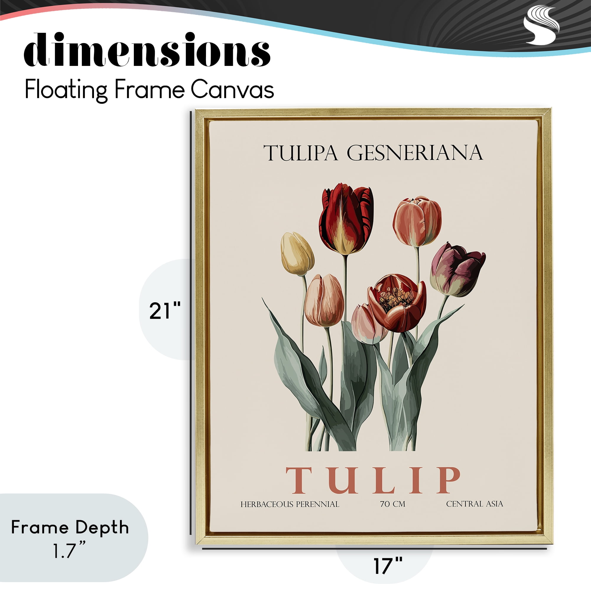Stupell Industries Natural Tulip Bundle Gold Framed Floater Canvas Wall Art, design by Christopher Giampietro