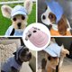 thumbnail image 5 of Gorra de pato para las cuatro estaciones para mascotas, tocado para gatos y perros, gorra de béisbol con protección solar rosa, 5 of 5