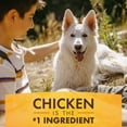 thumbnail image 3 of PurLuv K9 Kraves Chicken and Peanut Butter Mini Bone Chew 20 count, 3 of 7