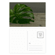 thumbnail image 1 of Cuadro planta de hoja de foto naturaleza Set cumpleaños gracias tarjeta postal correo lado 20pcs, 1 of 3