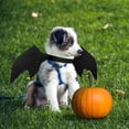 thumbnail image 4 of OULII Pet  Costumes Bat Shape Wings for Cats and Dogs Cosplay Costume 1Pack 16.1x7.5in, 4 of 8