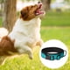 thumbnail image 3 of Collar para perro de nailon reflectante con acolchado de neopreno transpirable, ajustable MFZFUKR CPB-US-YY496-6, 3 of 5