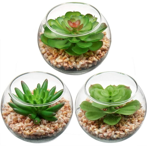 Mini Fake Plants 3 Packs Artificial Succulents Plants in Round Glass Vase Cute Faux Succulents for Bathroom Kitchens Shelf Table Decor