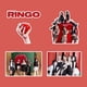 thumbnail image 4 of Girl Group ITZY Stickers Ringo 100Pcs ITZY Sticker Pack Cute ITZY Ringo New Album Stickers Merch Stickers ITZY Gift (100pcs-ringo), 4 of 4