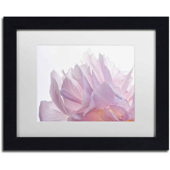 Trademark Fine Art 'Pink Peony Petals VI' Canvas Art by Cora Niele, White Matte, Black Frame