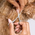 thumbnail image 5 of Pet Grooming Scissors, Stainless Steel Rounded Tip Trimming Shears for Dogs and Cats, 5 of 10