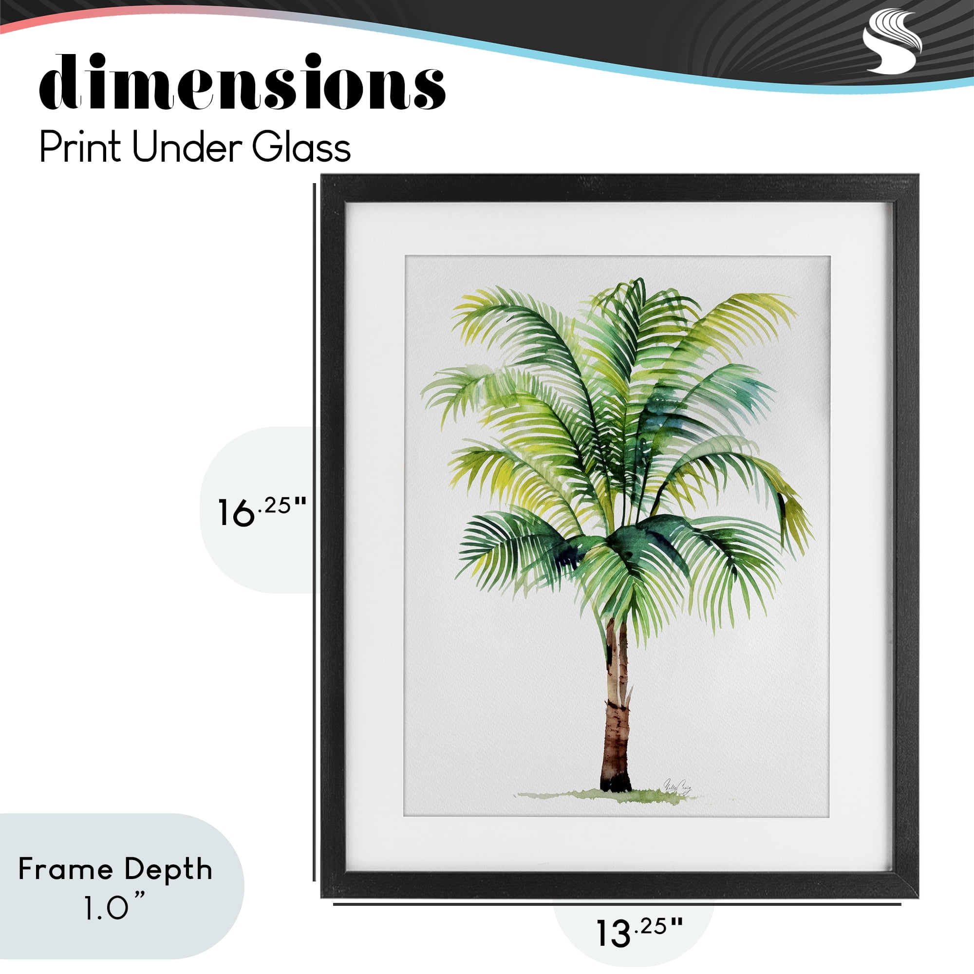 Stupell Industries Breezy Fronds Palm Black Framed Print Under Glass, design by Shelly Craig