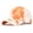 Orange, variant on Women Men Baseball Hat Chinese Style Print Cap Summer Daily Outdoor Wear