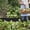 Black, variant on [No-Dig Garden Border Edging] 200FT*4in No-Dig Plastic Garden Border Edging Kit with 180 Special Anchoring Spikes, Flexible for Flower Beds, Lawn, Yard, Paver Pathway, Easy Install and Maintain