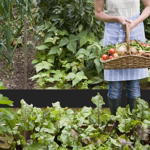 [No-Dig Garden Border Edging] 200FT*4in No-Dig Plastic Garden Border Edging Kit with 180 Special Anchoring Spikes, Flexible for Flower Beds, Lawn, Yard, Paver Pathway, Easy Install and Maintain