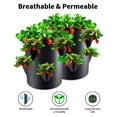 thumbnail image 4 of RuiJiao Strawberry Garden Planting Pots, Strawberry P-lanters Outdoor, Fabric Portable Garden Planting Pots for Fruits Herbs, 6 Hole 7 Gallons Breathable Plant Growing Bags, 4 of 9