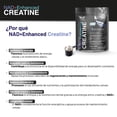 thumbnail image 5 of Creatina Monohidratada Micronizada Creapure Reforzada con NAD+ Eternal Nutrition 550 Gramos 5 gr, 5 of 5