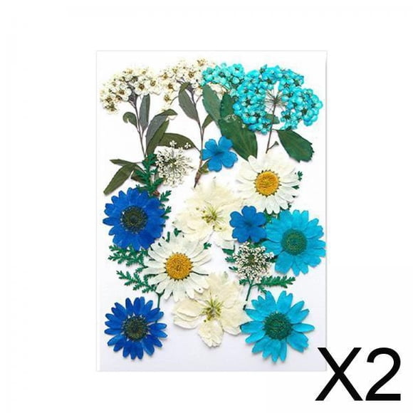 flores secas prensadas,flores secas prensadas hojas diy artesanía arte,resina vela fabricación de jabón arte de uñas flores secas,flores epoxi prensadas naturales kits de flores de