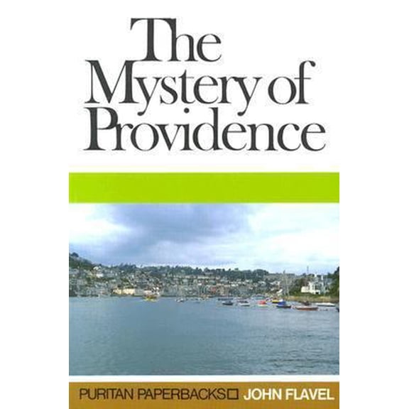 Pre-Owned Mystery of Providence (Paperback) 085151104X 9780851511047