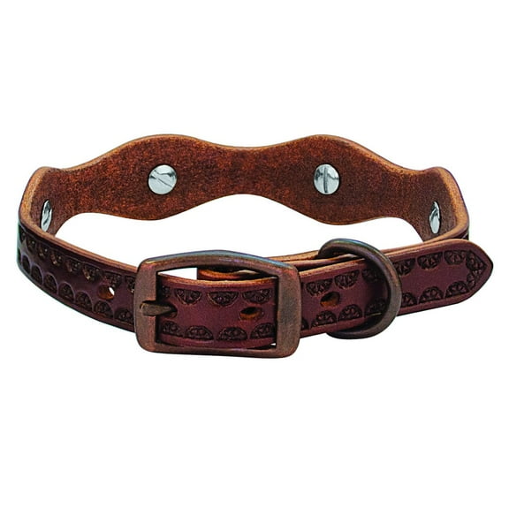 Weaver Leather Sundance Dog Collar: Stylish & Durable for Your Pup 1" x 21"