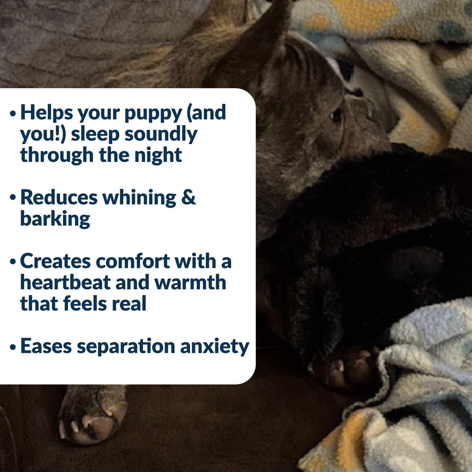 Snuggle Puppy Junior Heartbeat Puppy Toy - Heartbeat Puppy for Dogs - Pet Anxiety Relief and Calming Aid - Comfort Dog Toy - Behavioral Training and Sleep Aid Cuddle Buddy - Black