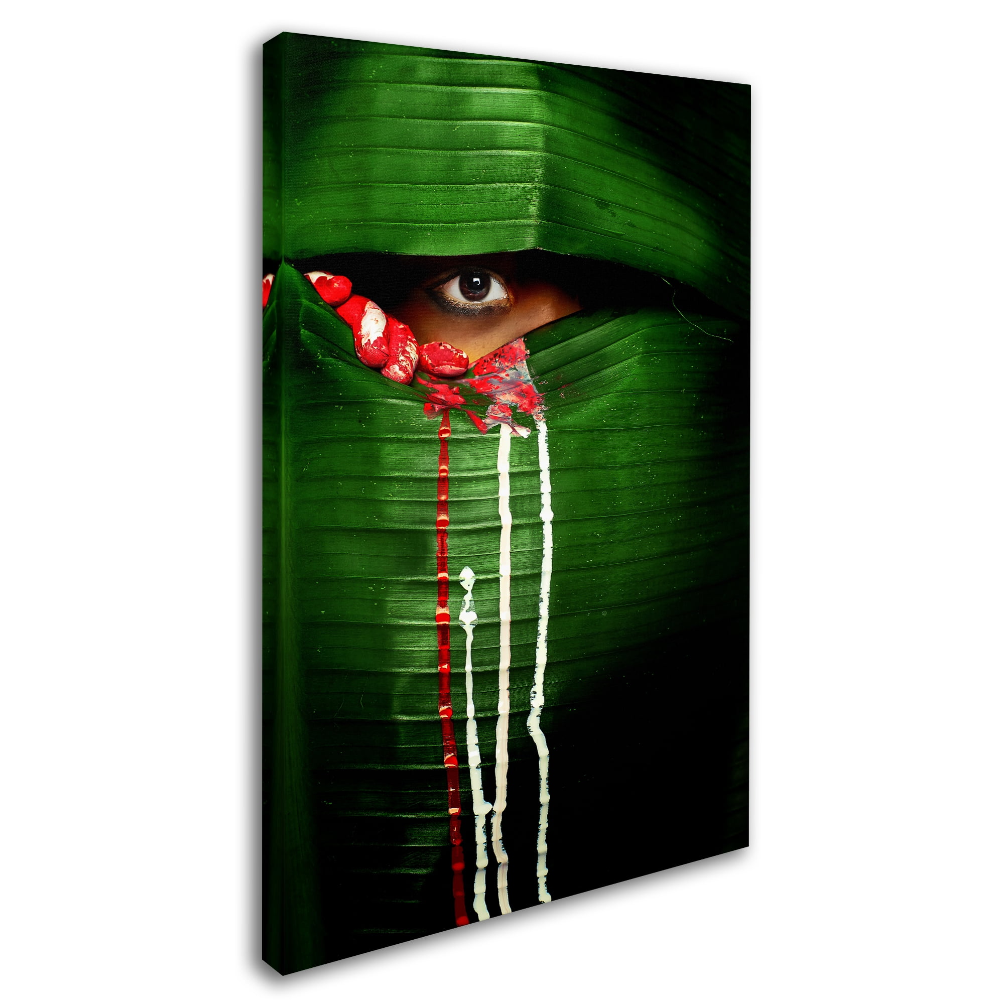 Trademark Fine Art 'Mysterious Eye' Canvas Art by Adithya Zen