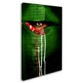thumbnail image 2 of Trademark Fine Art People Canvas Art ' Mysterio Eye ' by Adithya Zen, 2 of 3