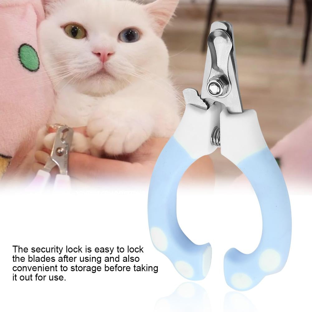 cat nail grooming