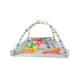 thumbnail image 5 of PINGÜE® Bebés | Gimnasio para bebé con alberca de pelotas y corral, 5 of 10