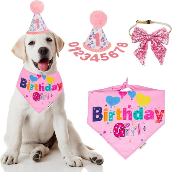 Dog Birthday Party Supplies, Pink Girl Dog Birthday Bandana Hat Numbers Bow Set for Medium Large Dogs Large