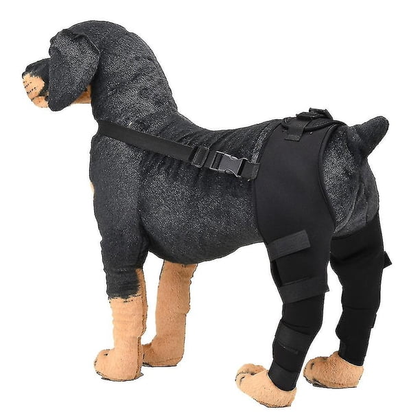 S Almohadillas protectoras para codo de perro, Protector de patas traseras para perros, rodillera ajustable, soporte para piernas