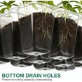 thumbnail image 4 of 10 Pack Seed Starter Tray Kit (120 Cells Total Tray) with Adjustable Humidity Dome, Plant Germination Trays, Starting Trays Mini Greenhouse for Seeds Growing, 4 of 4