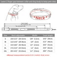 thumbnail image 6 of Pet Artist Personalized Dog Collar Soft Padded Braided Leather Custom Engraved Name ID Tags, 6 of 10