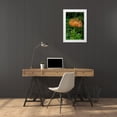 thumbnail image 3 of Engelbrecht, Lisa S. 23x32 White Modern Wood Framed Museum Art Print Titled - Pincushion Flower, 3 of 4