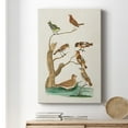 thumbnail image 6 of Antique Birds in Nature III Premium Gallery Wrapped Canvas - Ready to Hang, 6 of 9