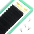 thumbnail image 1 of Extensiones de Pestañas PRO LASHBEAUTY Easy Fan D-0.05-9-16, 1 of 9