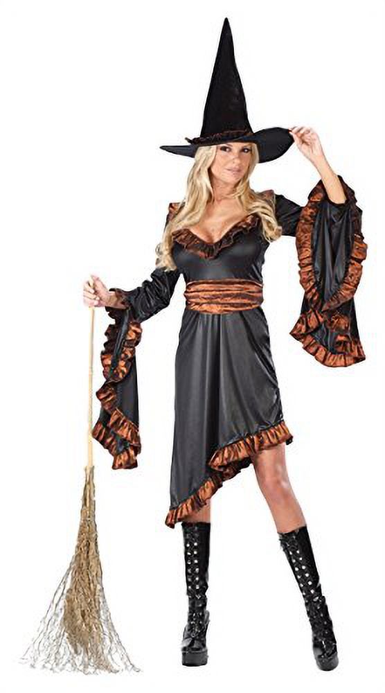 Witch Adult Halloween Costume - One Size - image 2 of 2