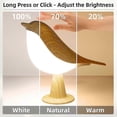 thumbnail image 2 of 2 in 1 Aroma Lumibird Lamp Diffuser, 3 Color Temperature Small Bird Table Lamp, Bedside Touch Control Night Light, 2 of 5